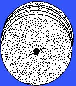 MIT 4325